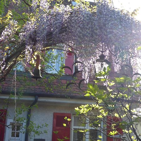 Pension Zur Rose Weil am Rhein Ngoại thất bức ảnh